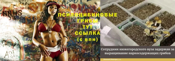 метадон Беломорск