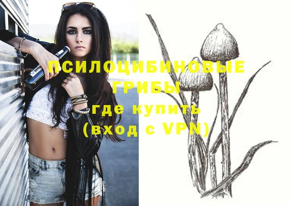 MDMA Белокуриха