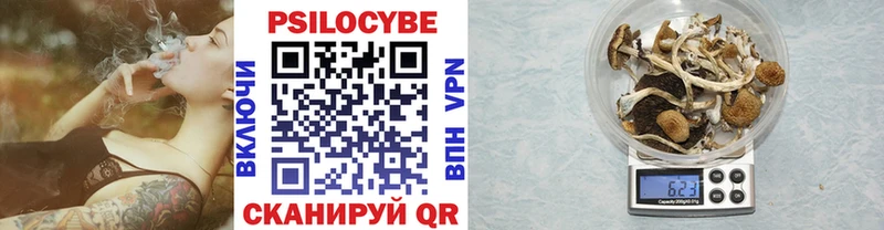 Галлюциногенные грибы GOLDEN TEACHER  Гусев 